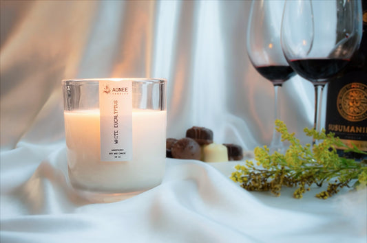 White Eucalyptus Classic Candle -1 wick